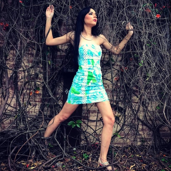 Lilly Pulitzer First Impression Blue Tansy Dress - Picture 5 of 5